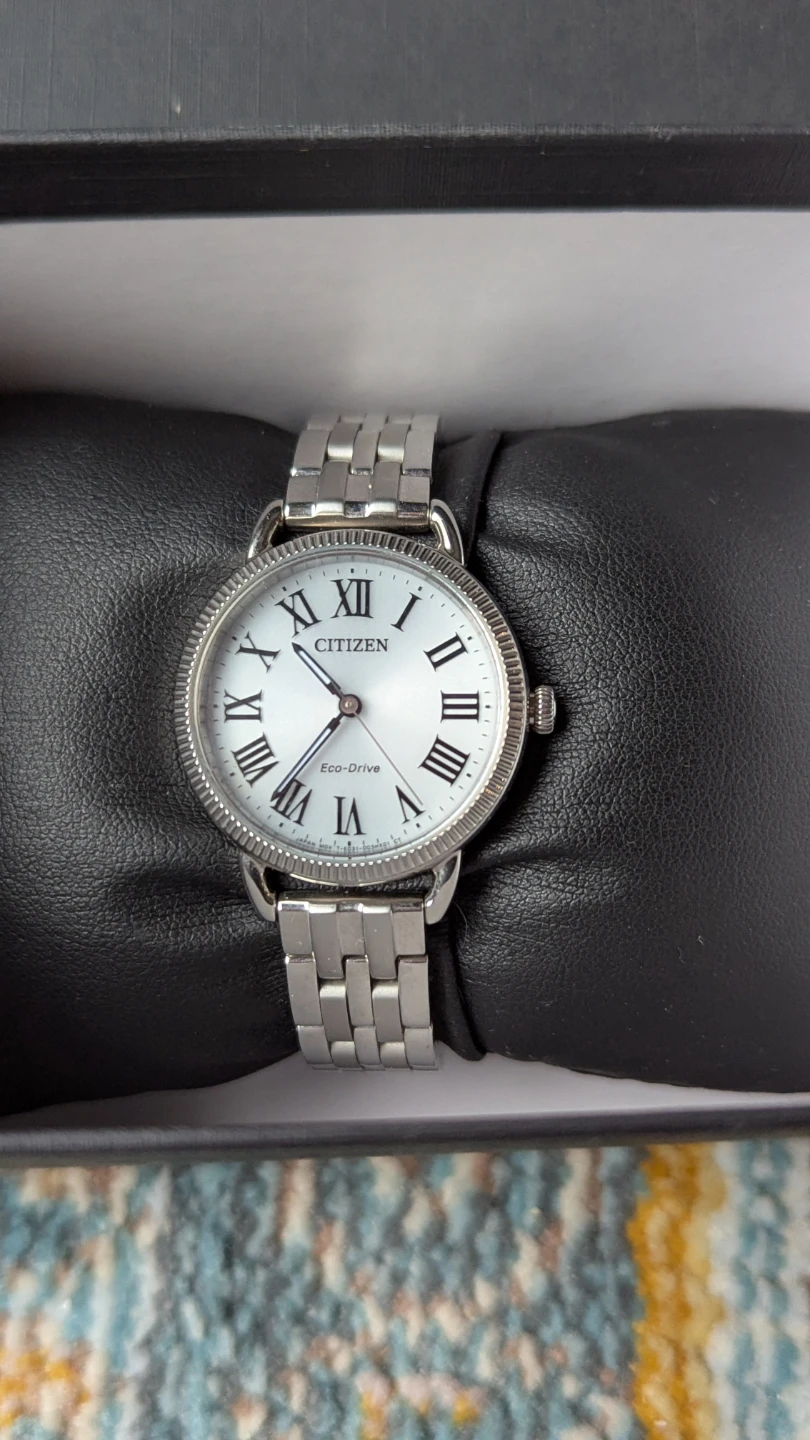 Citizen Eco-Drive Silver Watch - photo 2