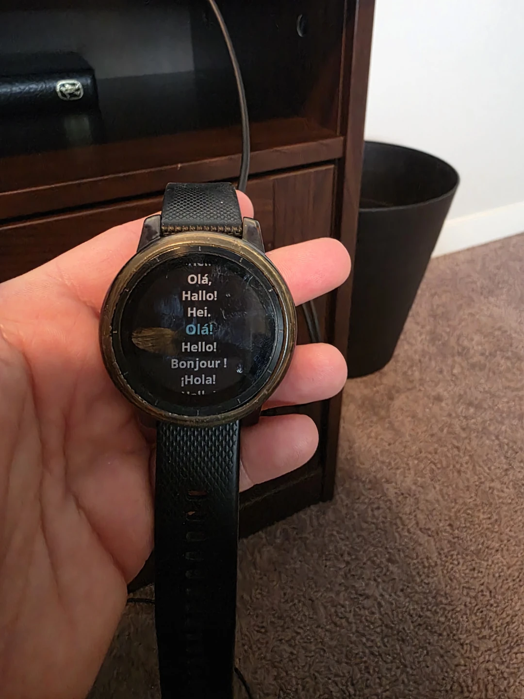 Garmin Vivoactive 3 - photo 5