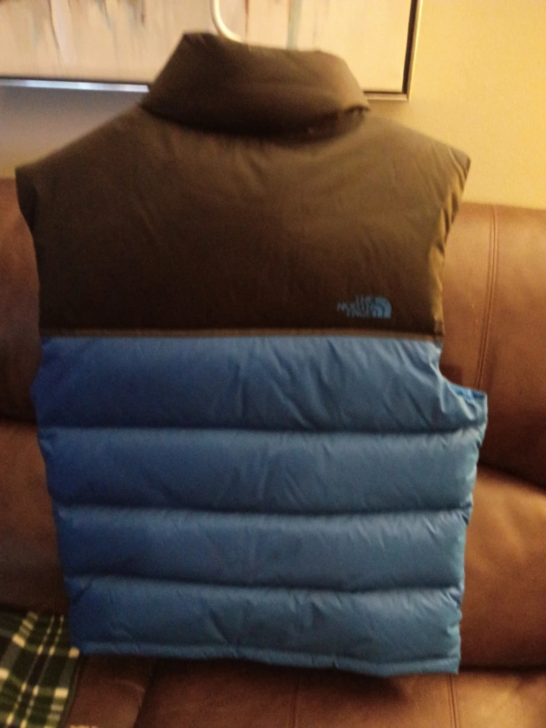 The North Face Puffer Vest Blue & Black - photo 3