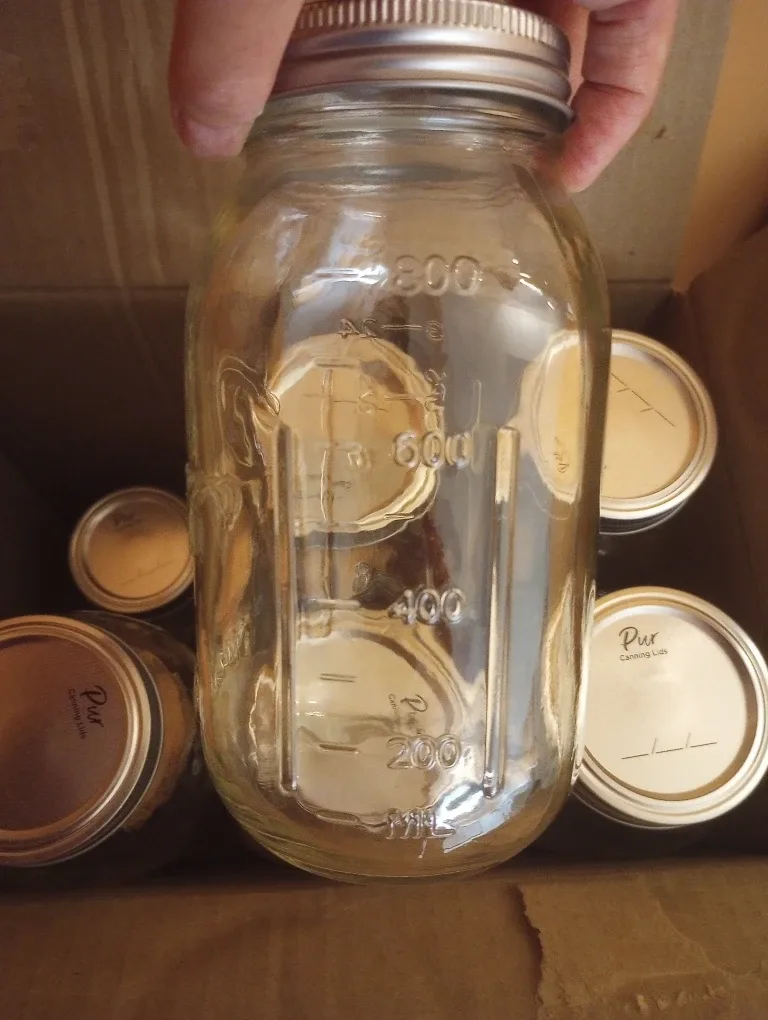 #Cleanout 12 NEW 800ml Mason Jars image indicator(3)