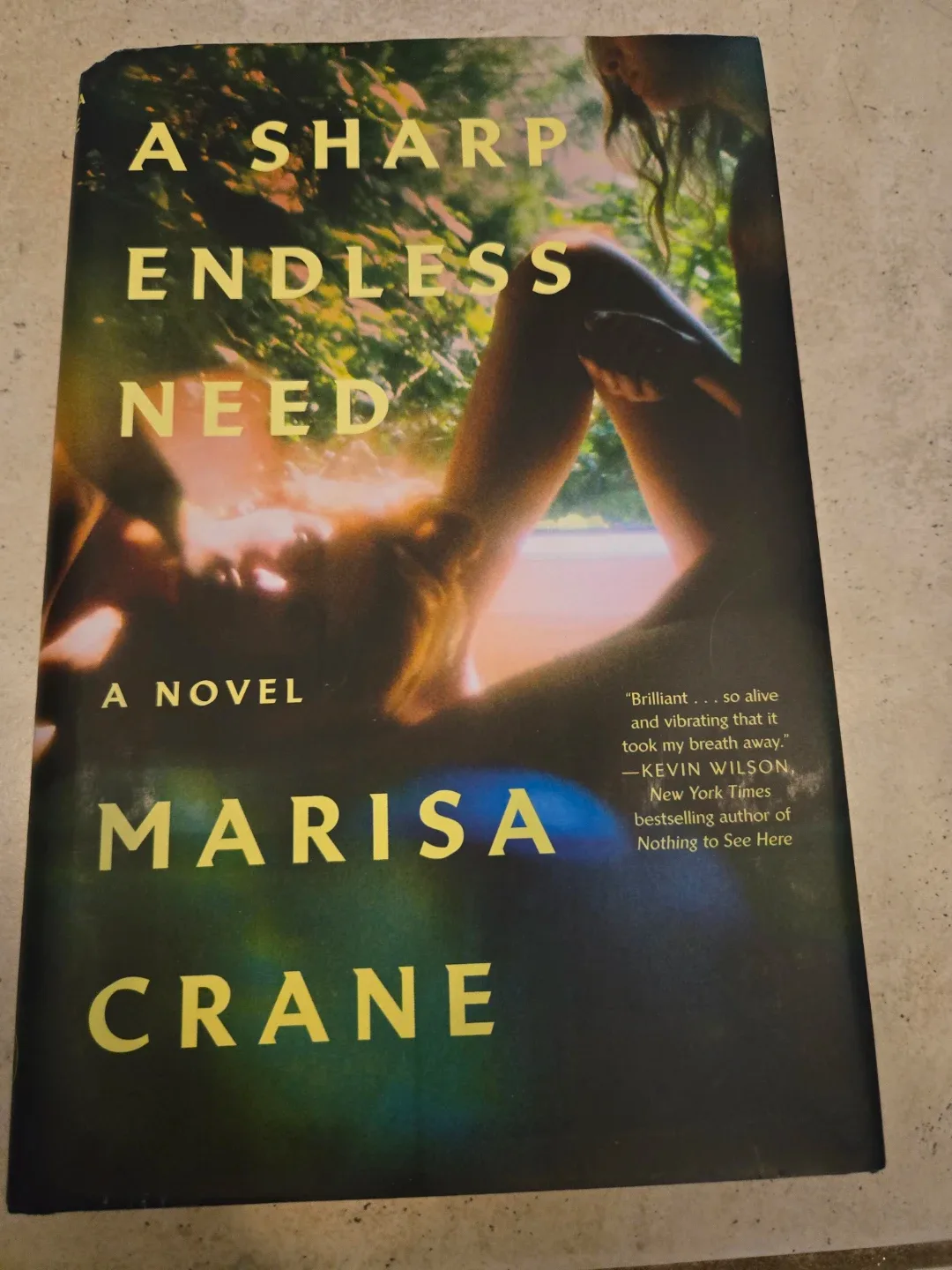 Book: A Sharp Endless Need by Marisa Crane