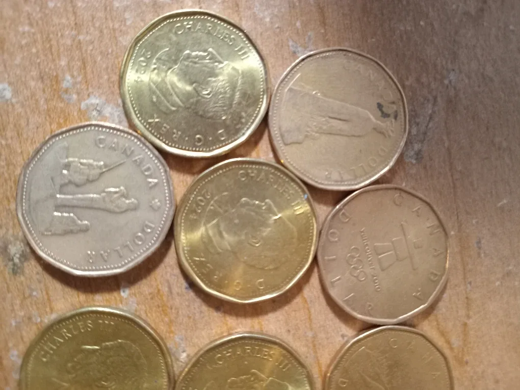 Special Loonies Canadian image indicator(3)