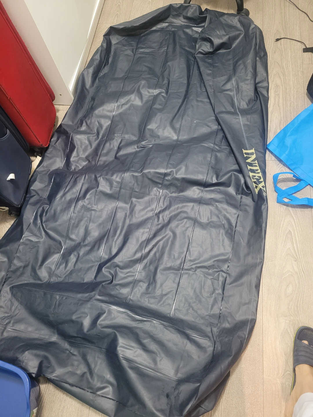 Intex Air Mattress + Pumper
