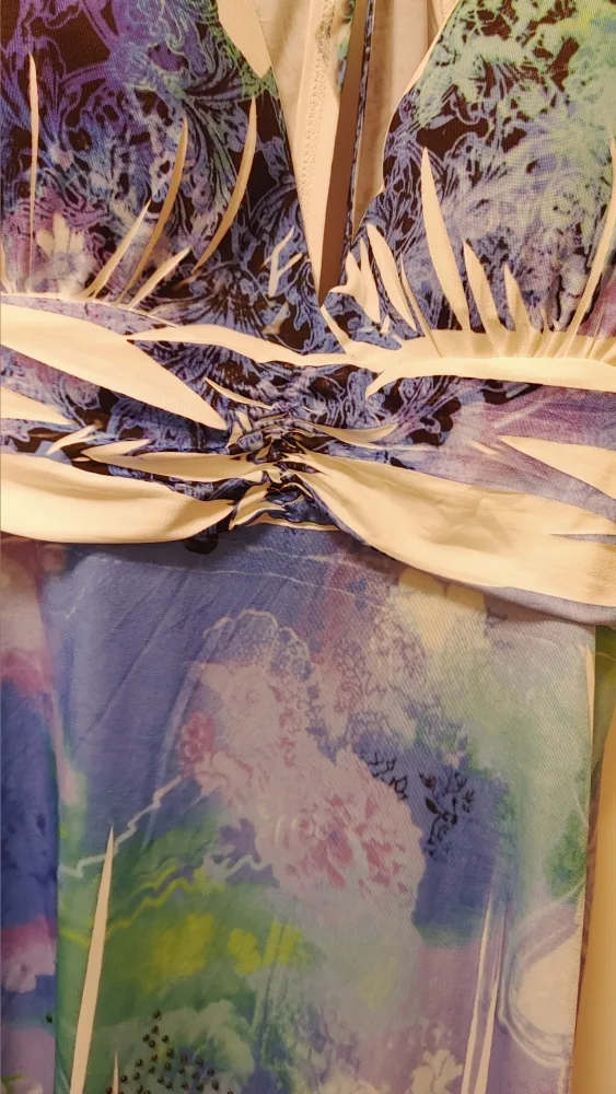 Women's Dress size Small image indicator(3)