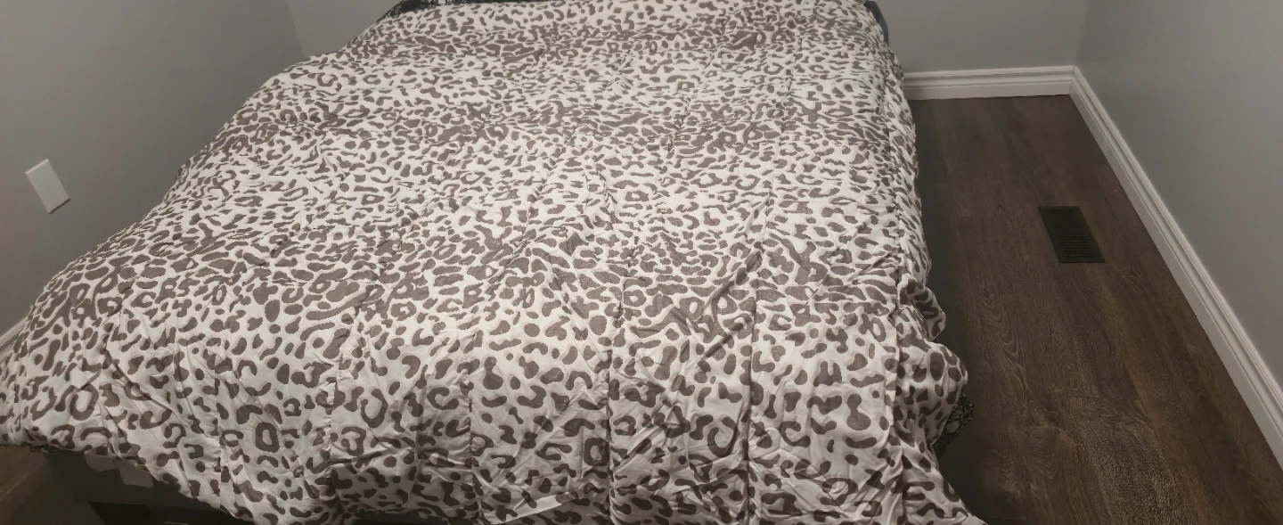 Queen size Leopard Print Comforter