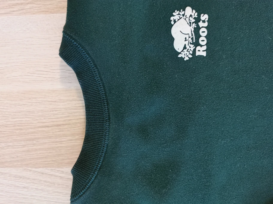 Roots Original Crew Sweatshirt - Forest Green - photo 4