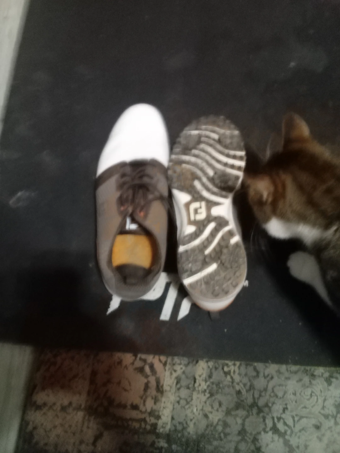 FootJoy Golf Shoes size 10,5