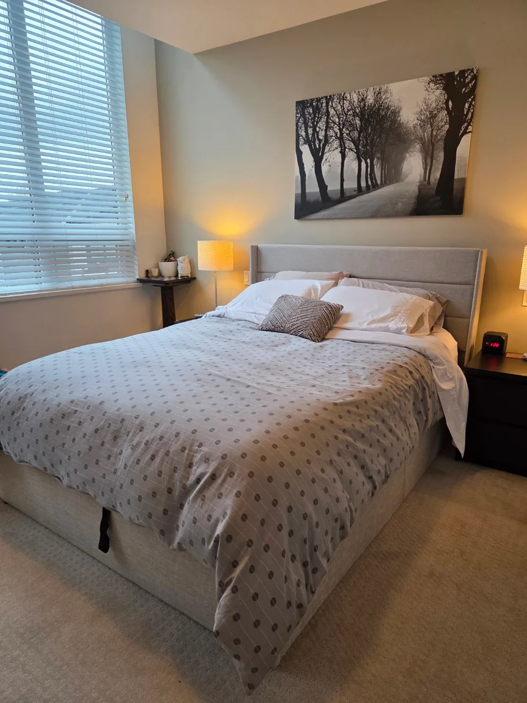 Queen Size Hydraulic Storage Bed Frame