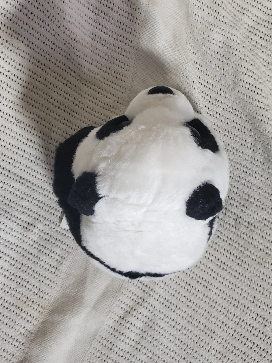 Medium Sized Stuffed Animal - Black and White Panda image indicator(5)