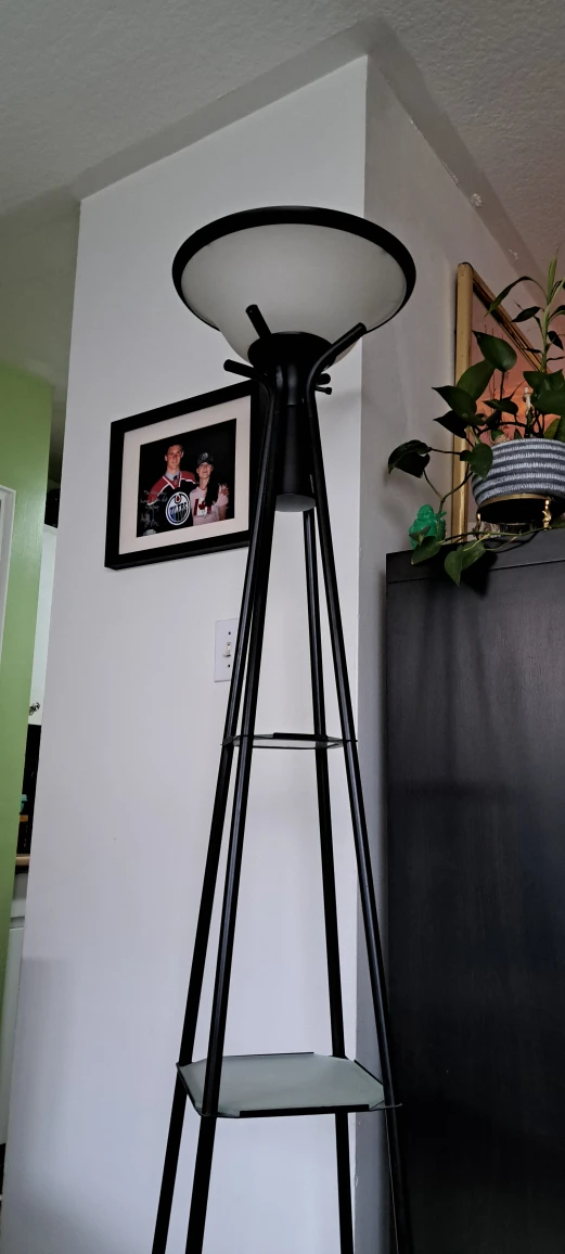Black Metal & Glass Shelf Floor Lamp - photo 2