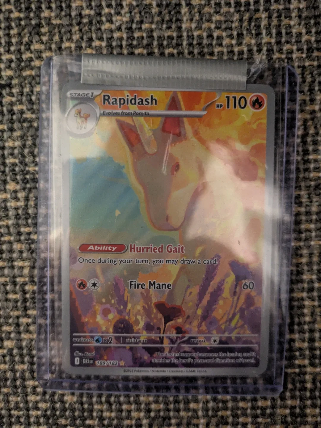Pokemon Cards - Latios & Rapidash