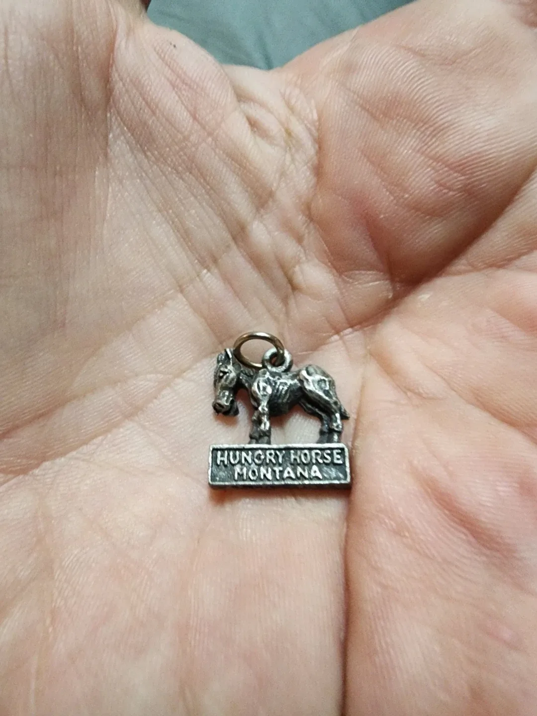 Hungry Horse Montana Horse Charm