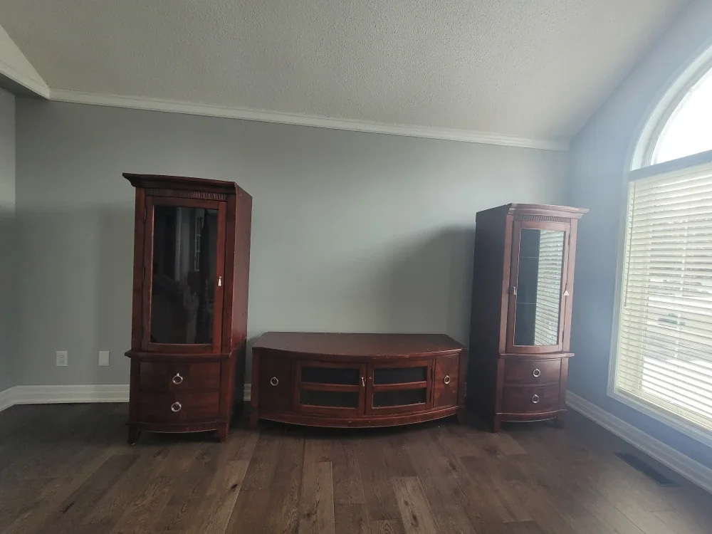 Entertainment Unit image indicator(4)