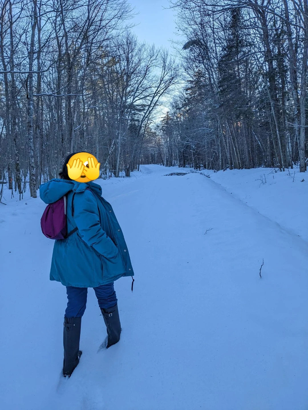 Eddie Bauer Goose Down Teal Parka - photo 2