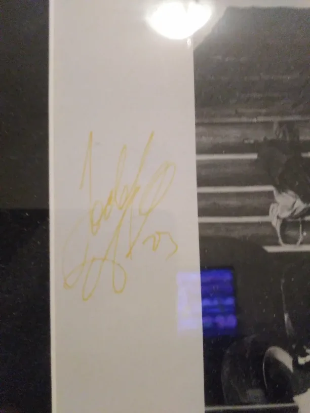 Toronto Maple Leafs Framed Picture image indicator(10)