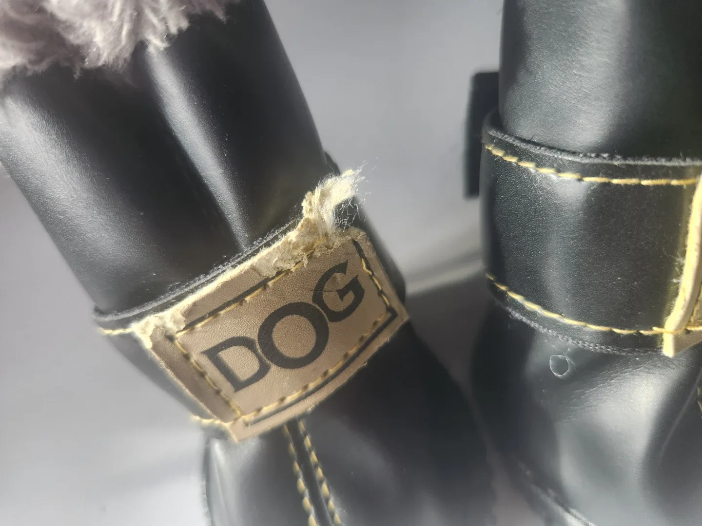 Dog Boots - Black, Size M #cleanout image indicator(2)