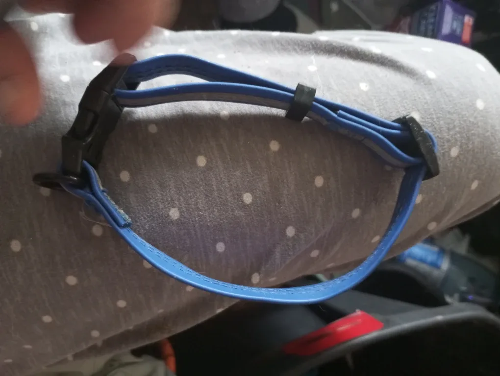 Dog Collars - Blue, Grey