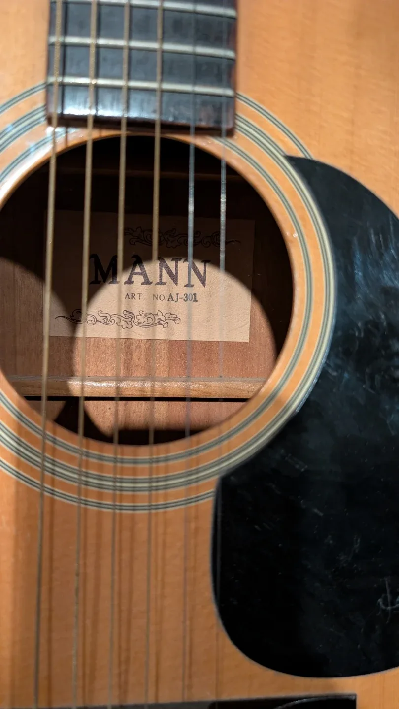 Mann acoustic guitar image indicator(2)
