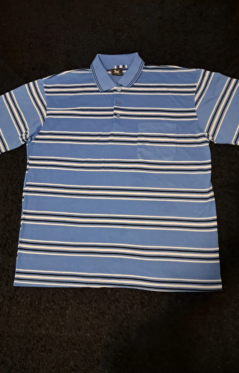 Striped Polo Shirt - Blue image indicator(2)