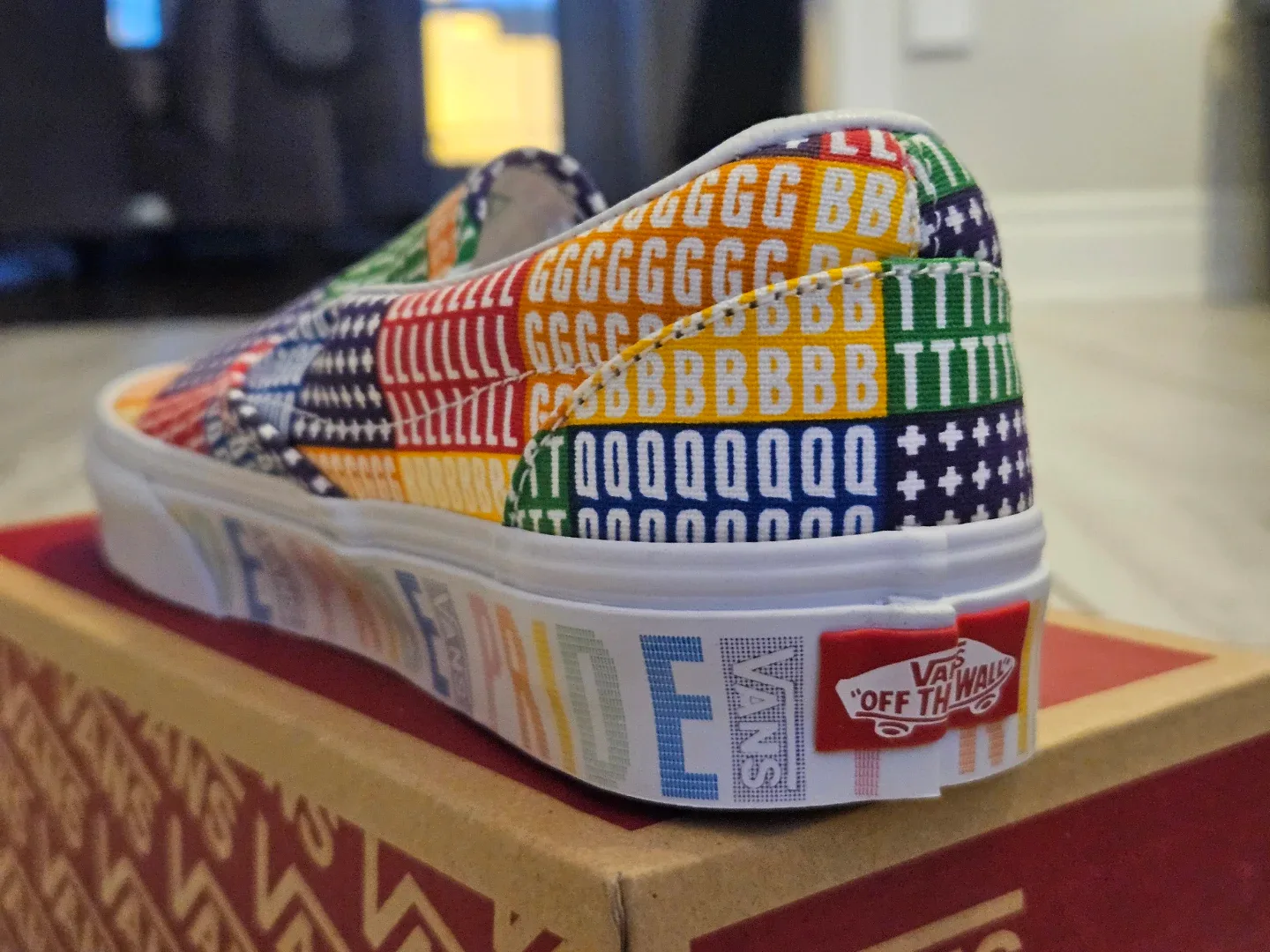 Vans Pride Slip-On Shoes, New in Box image indicator(3)