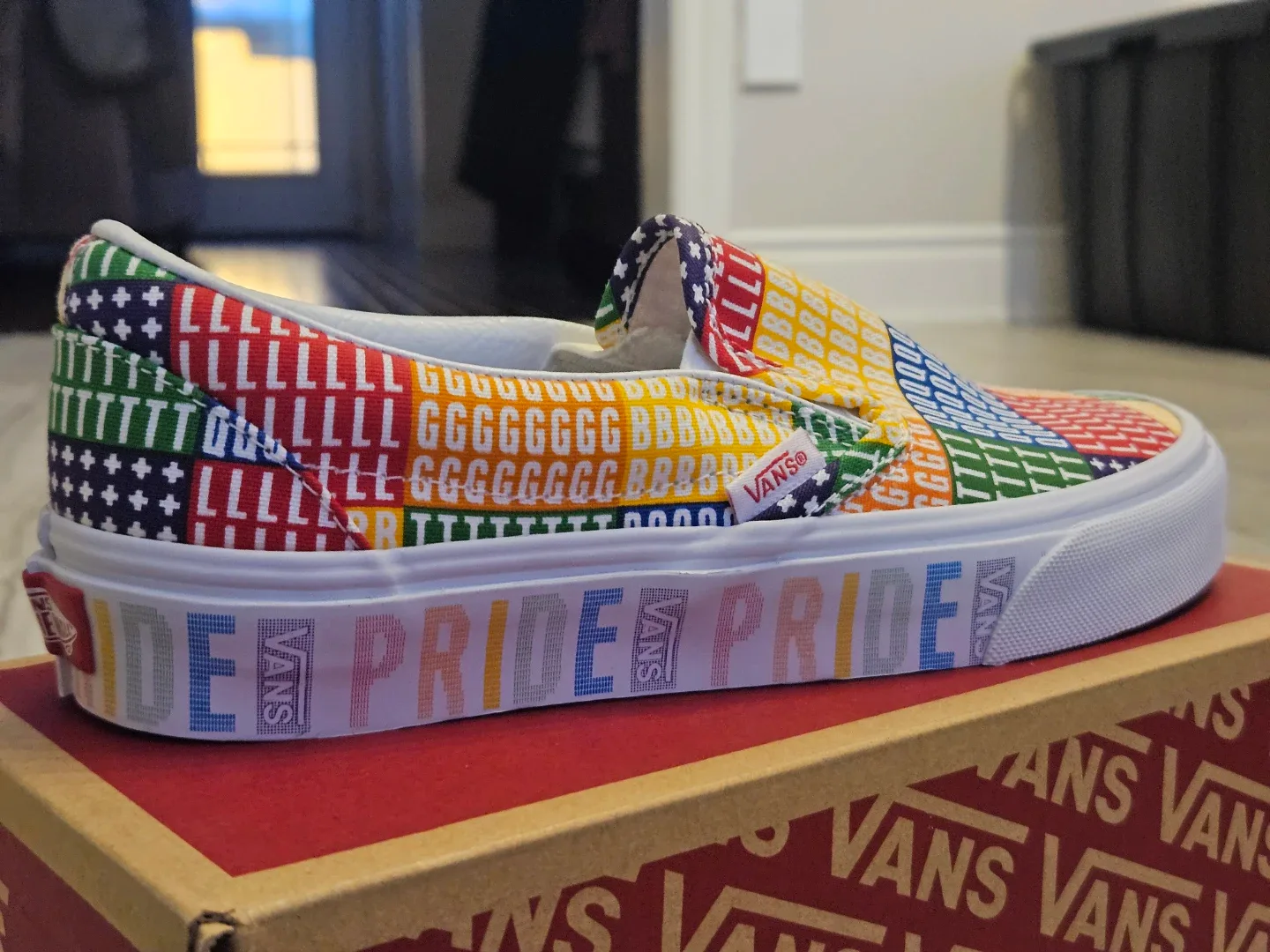 Vans Pride Slip-On Shoes, New in Box image indicator(4)