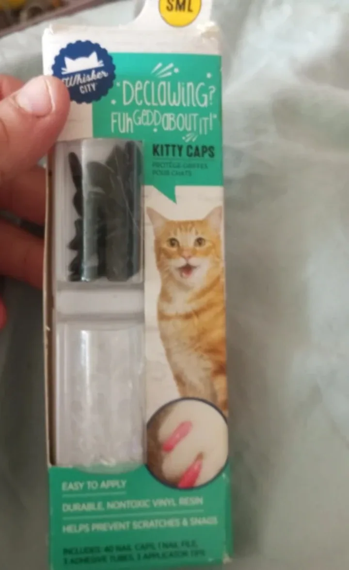 Whisker City Kitty Caps - Small