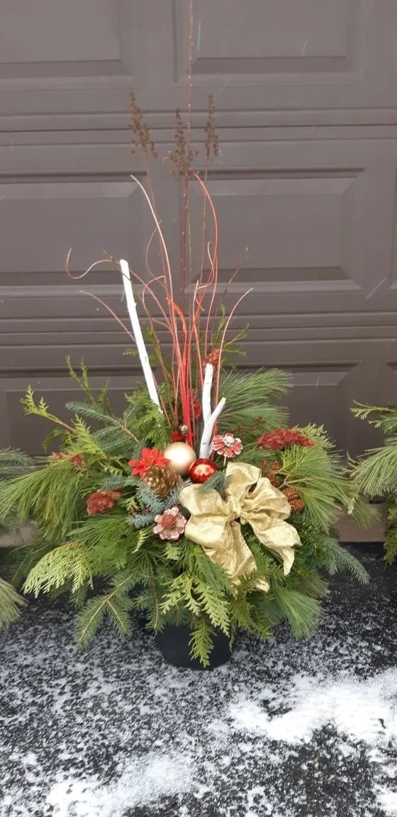 🤩Weekend sale!! Winter Planters image indicator(4)