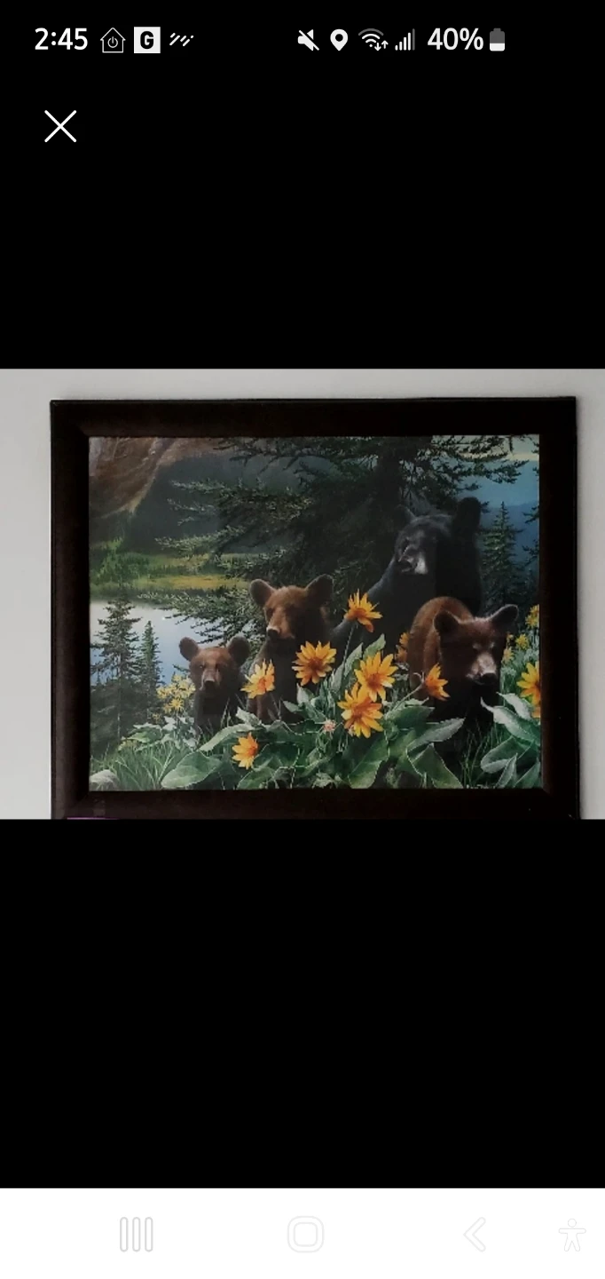 Framed Bear Family Print