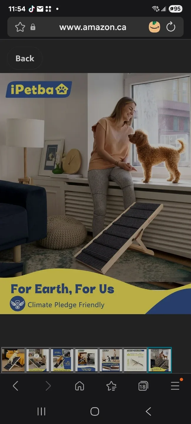 Wood Wood pet Ramp brand new image indicator(5)