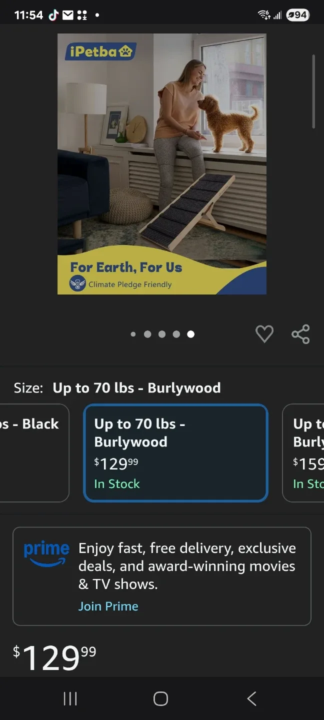 Wood Wood pet Ramp brand new image indicator(6)