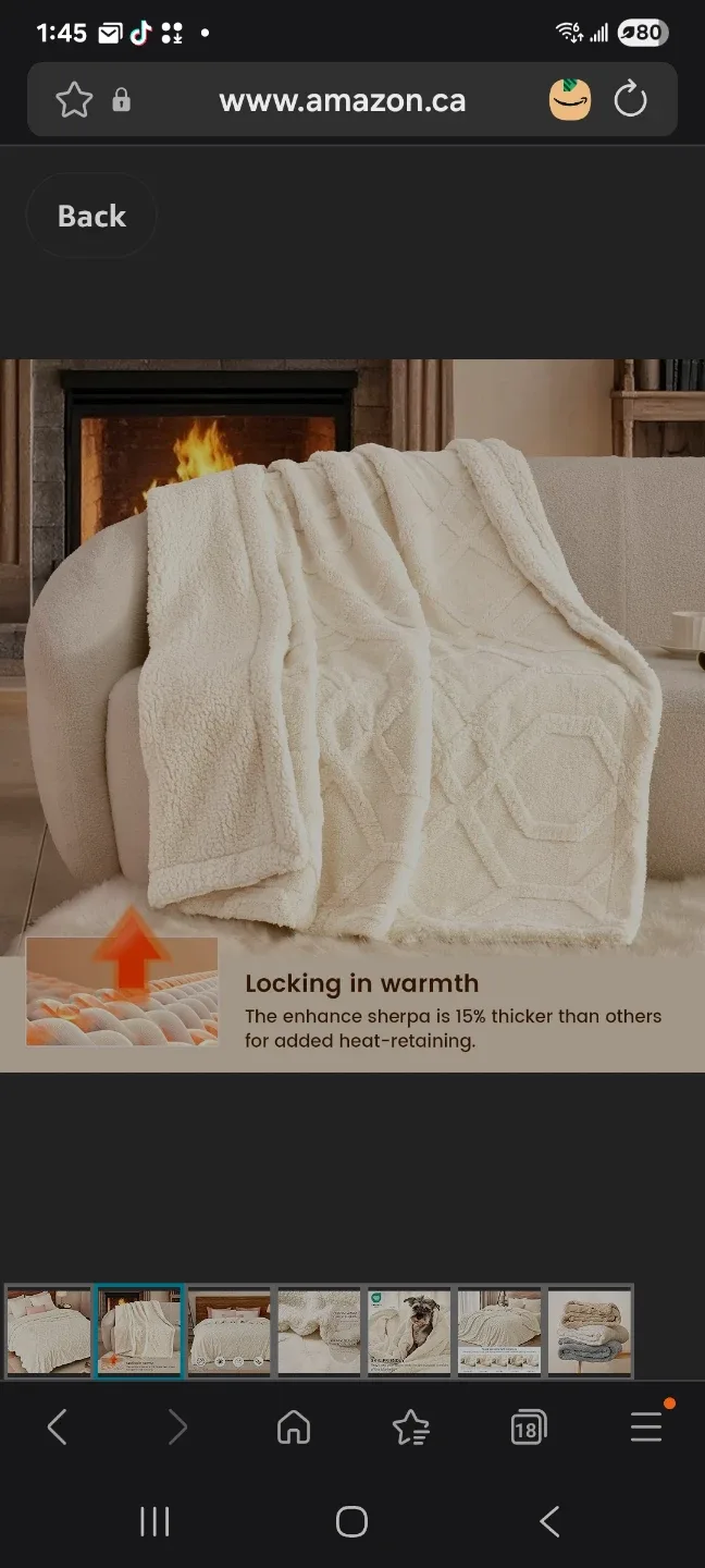 large Fluffy Sherpa Fleece Blanket new image indicator(2)
