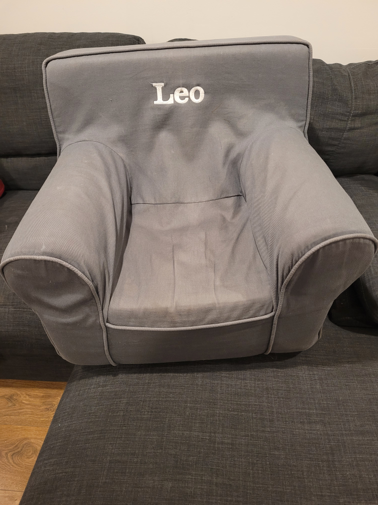 Pottery Barn Grey Armchair with "Leo"