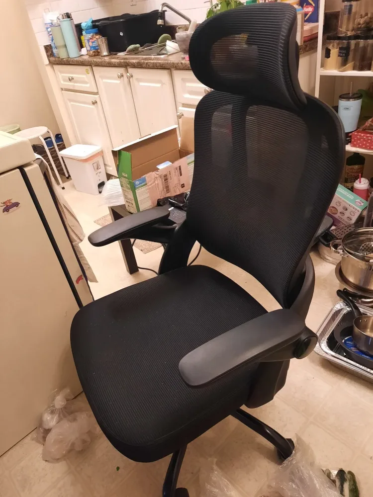 Ergonomic Mesh Office Chair - Black