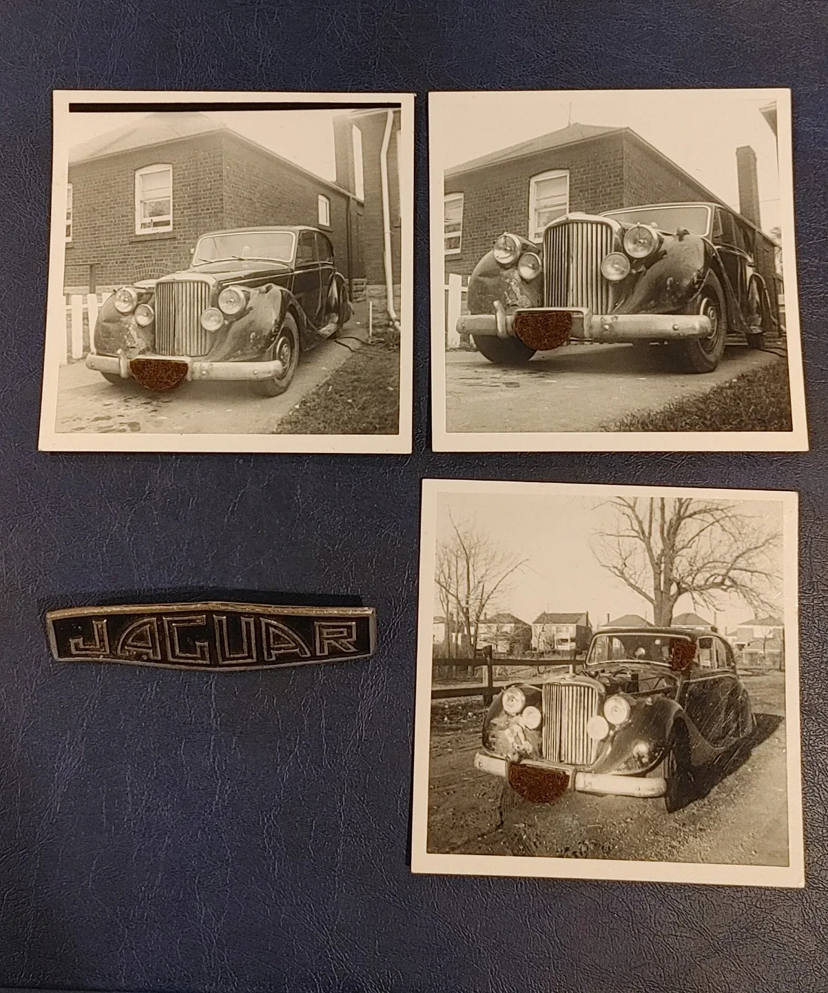 Jaguar 1951 Mark V - 3 1/2 Litre Grille