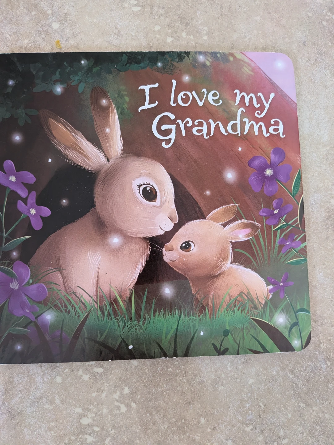 I Love My Grandma Board Book