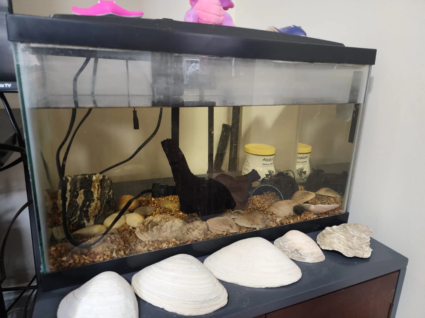 Used Fish Tank Aquarium - 40 L - photo 2