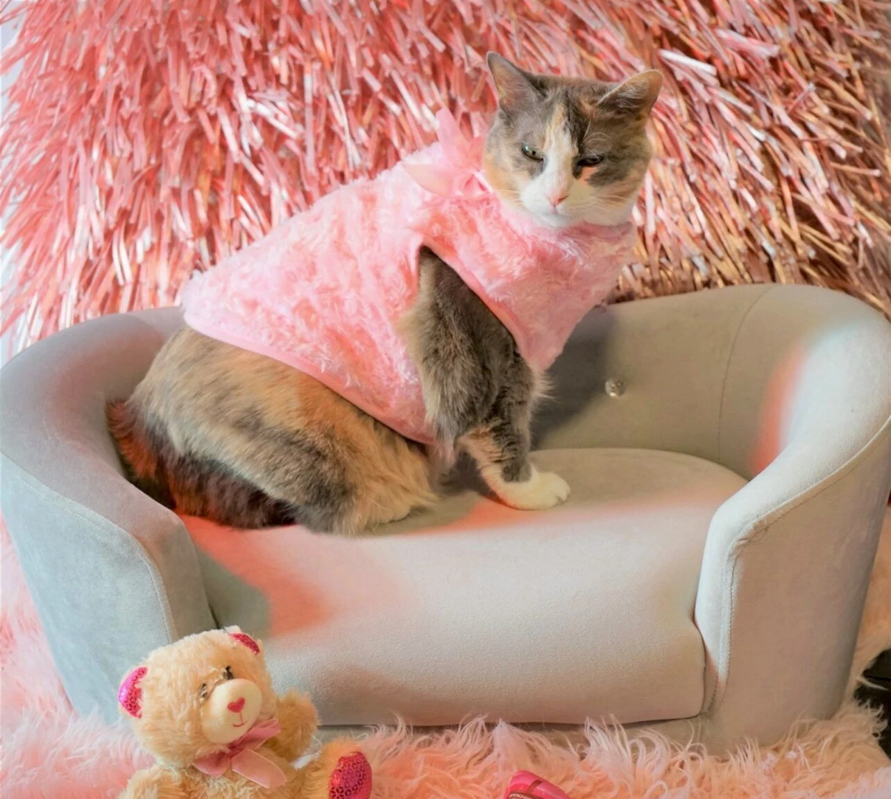 Pet Sofa Bed - photo 2