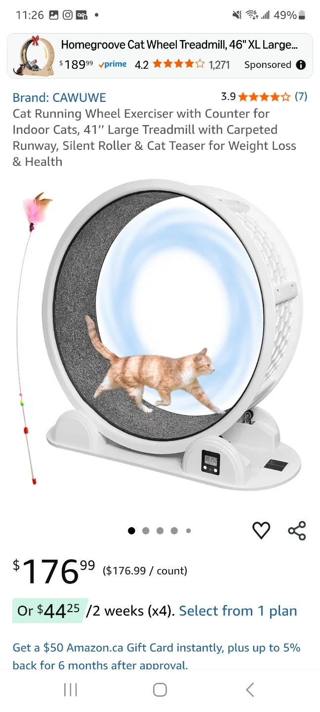 BRAND NEW Cat Wheel Treadmill