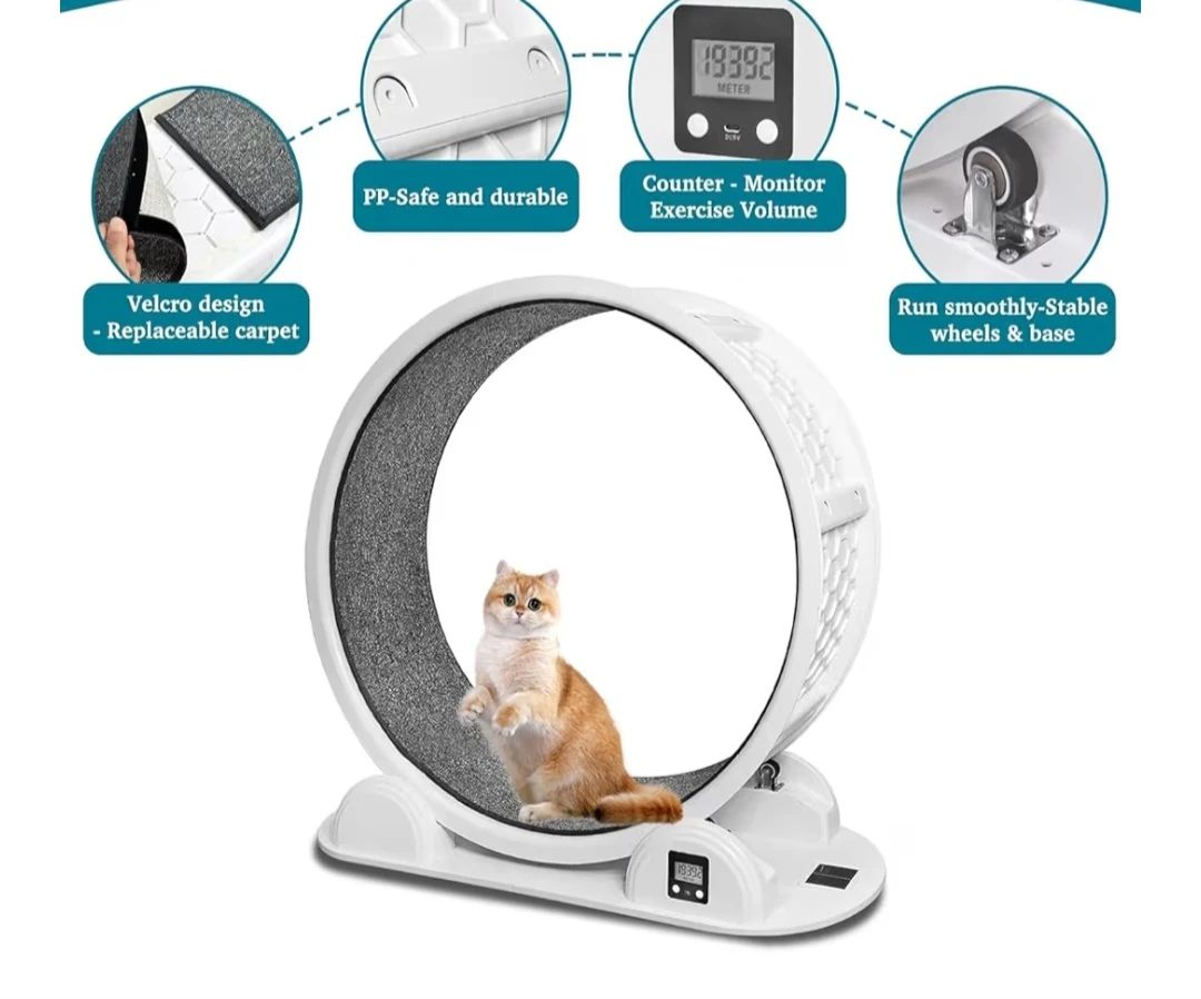 BRAND NEW Cat Wheel Treadmill - photo 2