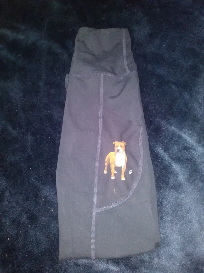 Bnwot pitbull leggings