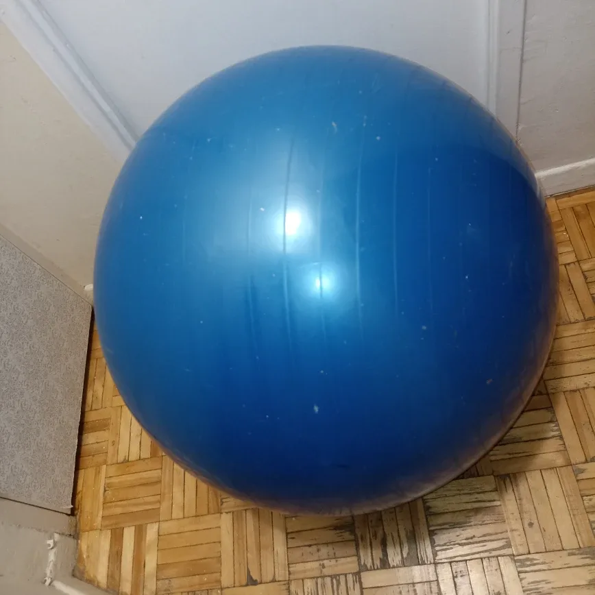 ‼️Moving Sale‼️Blue Exercise Ball