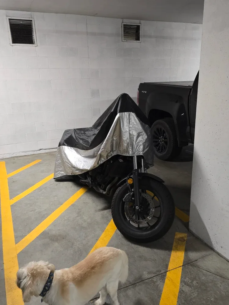 2020 Honda Rebel 500 Motorcycle - 14575 km image indicator(4)