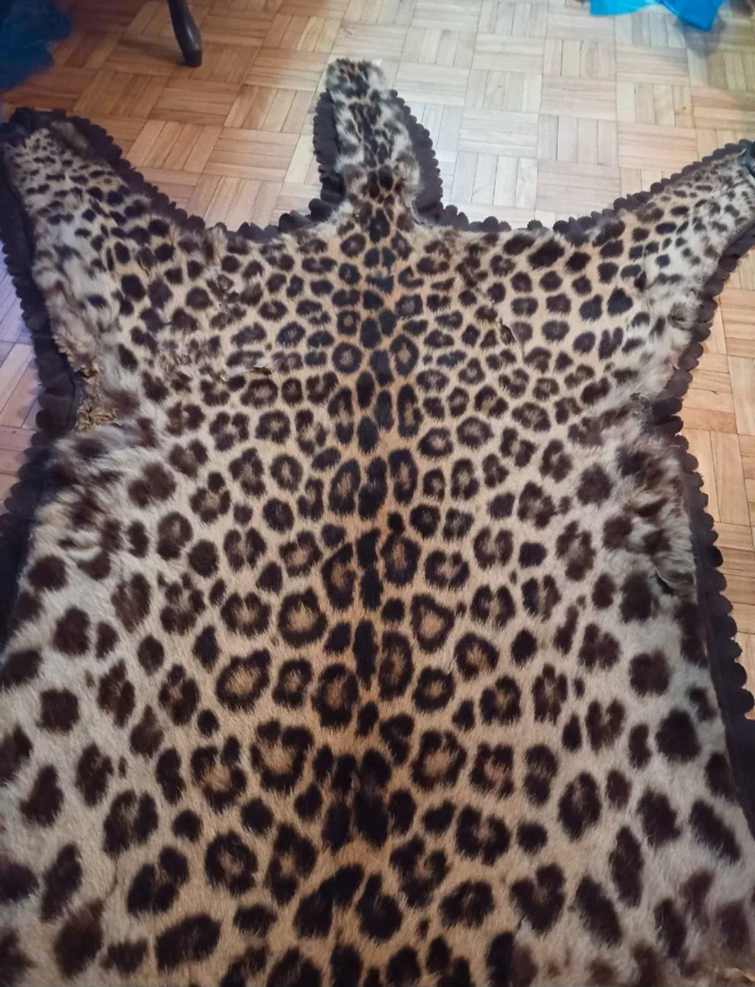 Rug image indicator(2)