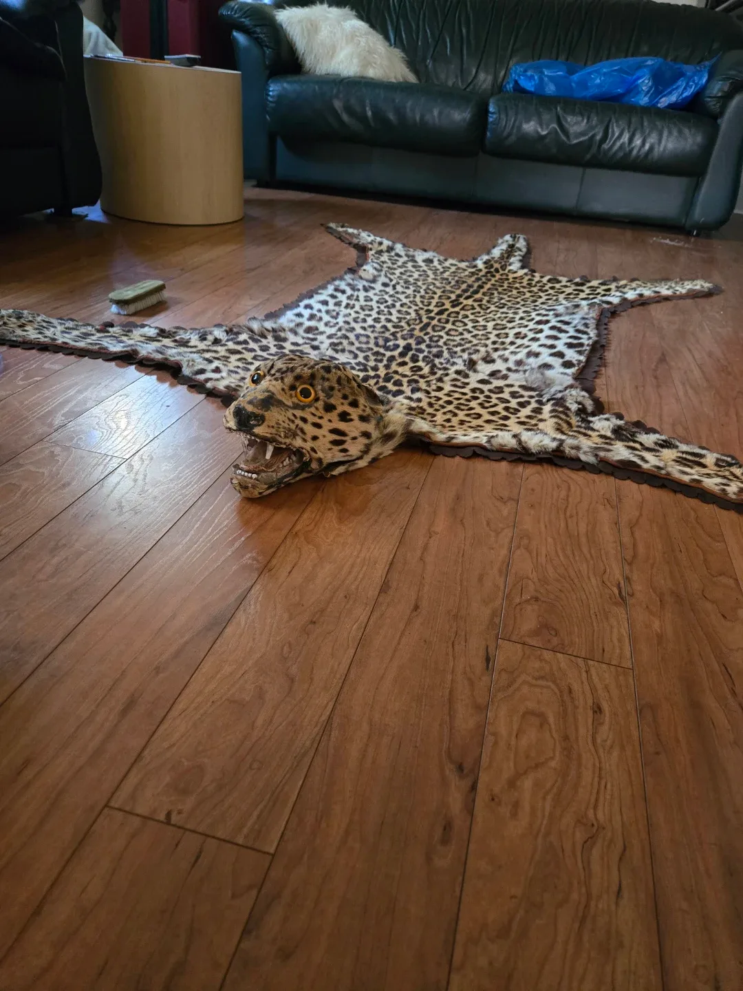 Rug image indicator(9)