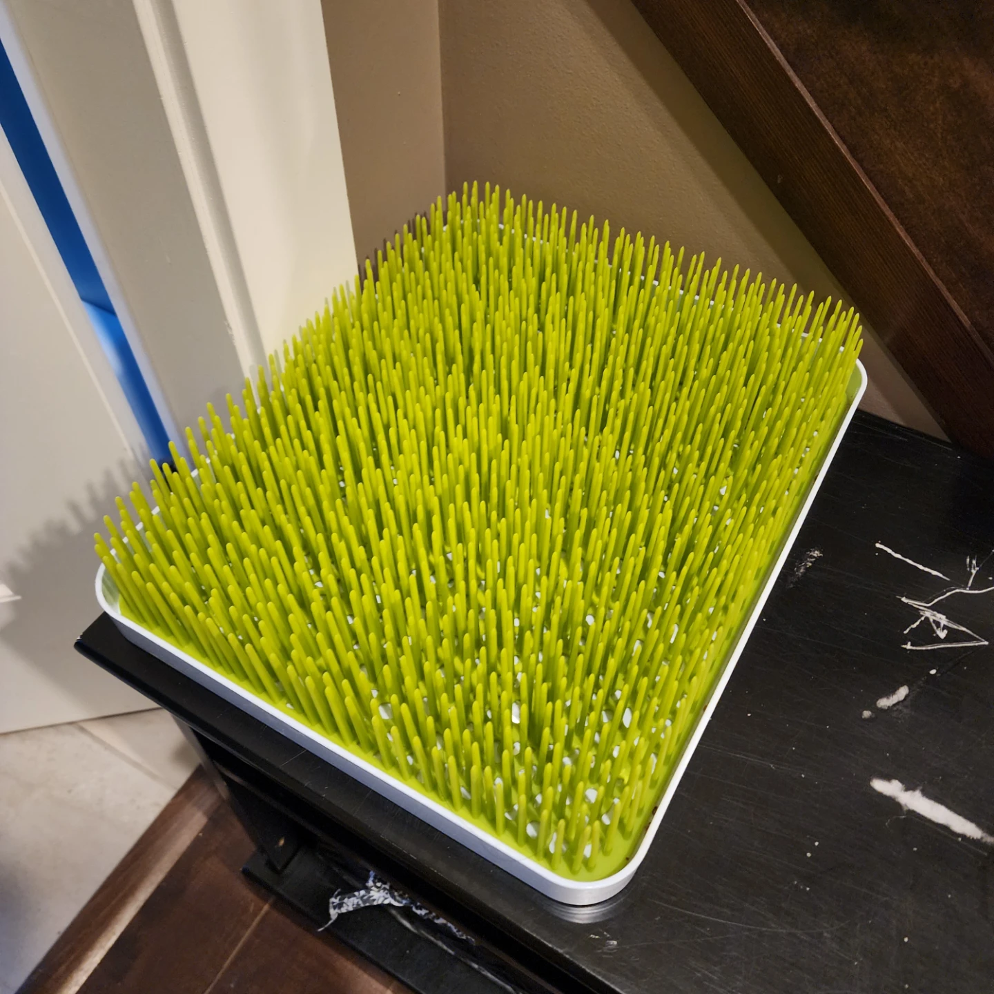 Rectangle BOON Grass Countertop Drying Rack - Green