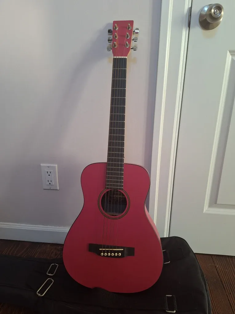 Martin & Co. Guitar with Case