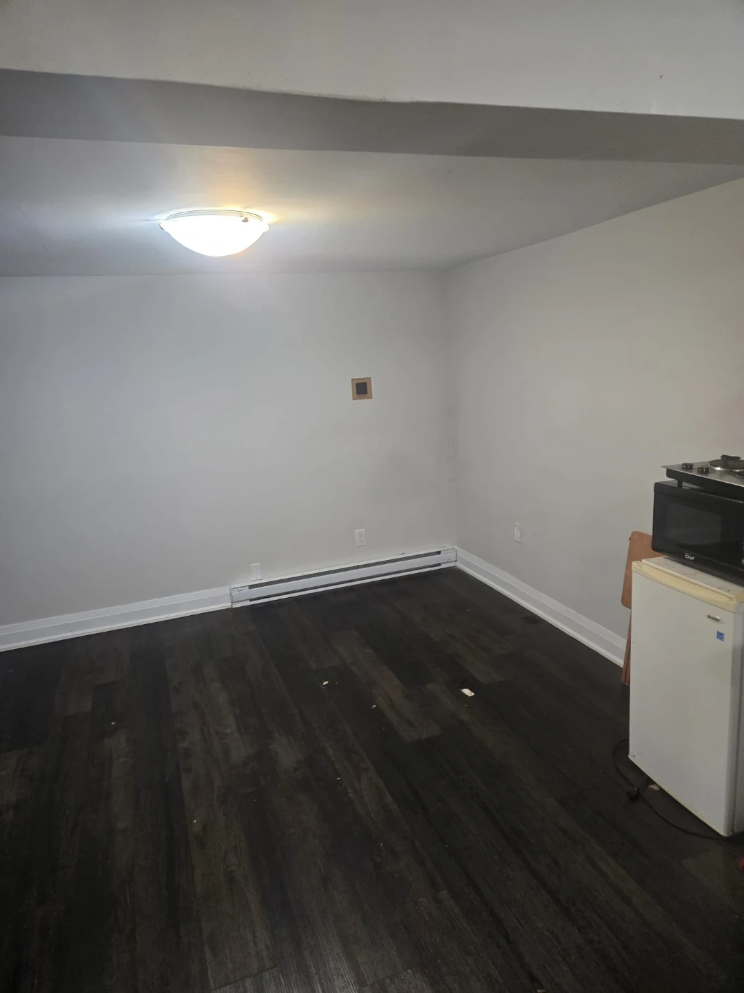 Basement for Rent - Central Park - photo 3