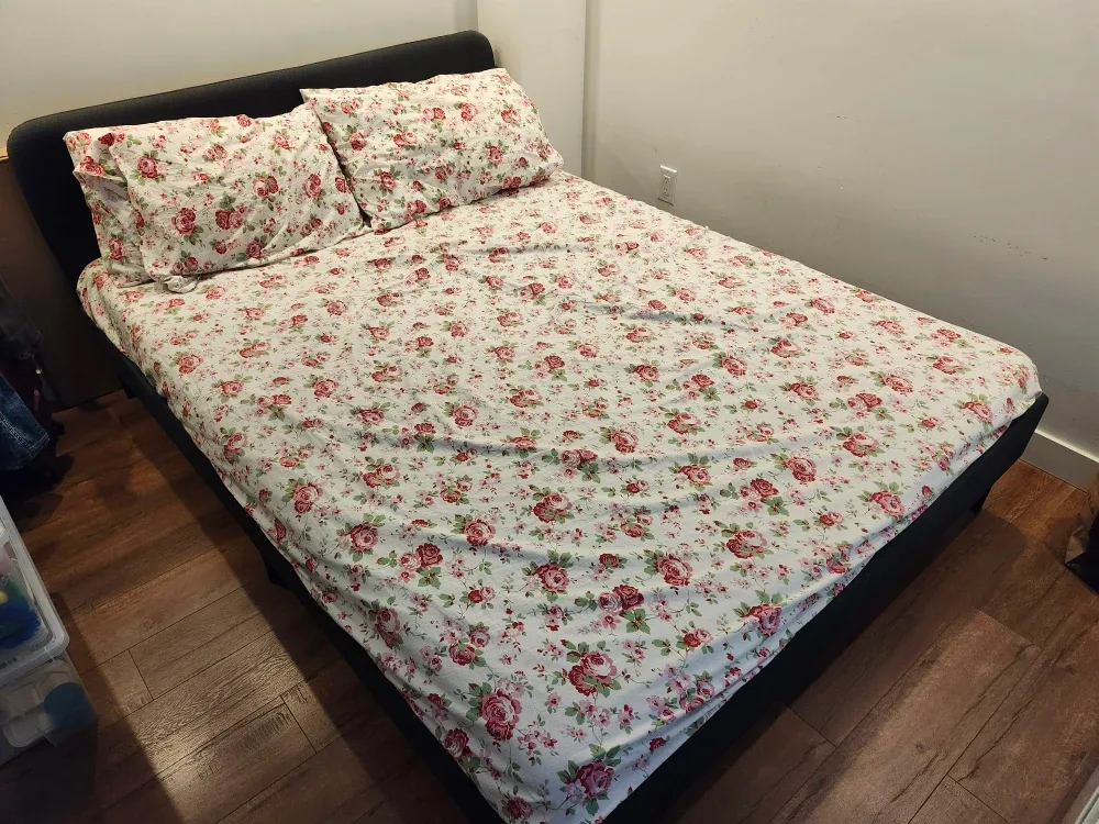 Queen Size Bed Frame - IKEA Slattum Model