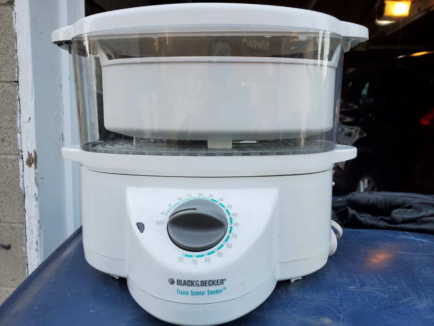 Black & Decker Flavor Scenter Steamer