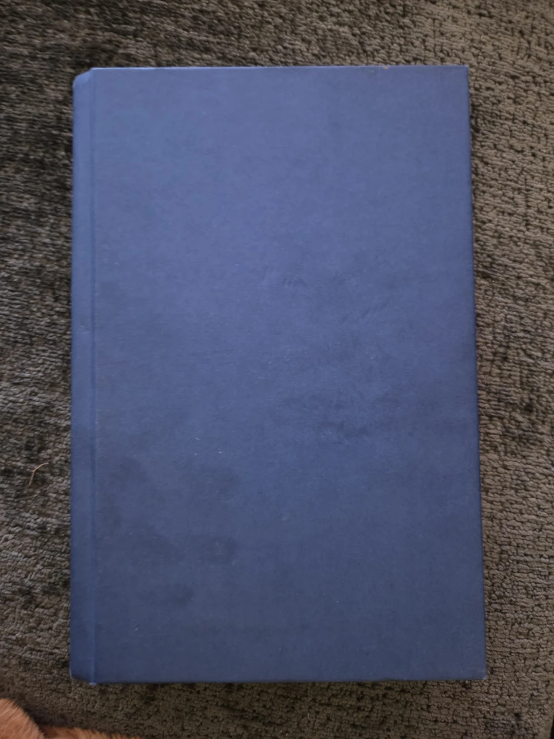 We Love You, Bunny - A Novel by Mona Awad - photo 2